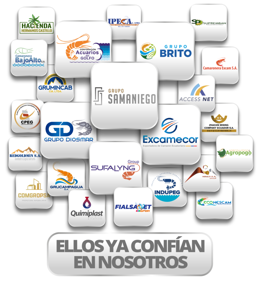 CONTACTANOS_Mesa de trabajo 1
